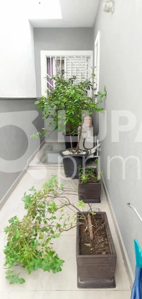 Casa, 3 quartos, 156 m² - Foto 13