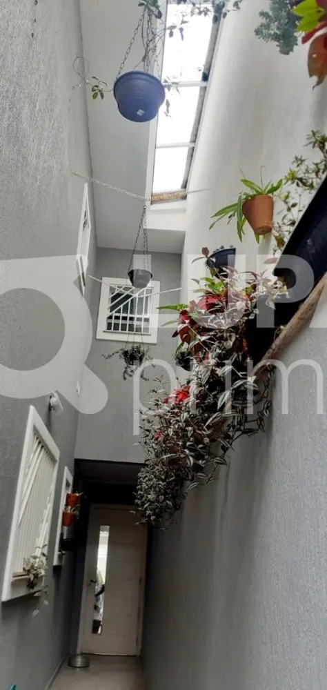 Casa, 3 quartos, 156 m² - Foto 4