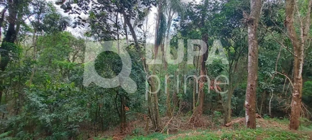 Casa, 3 quartos, 350 m² - Foto 9