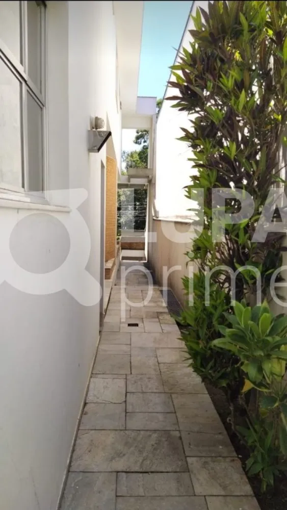 Casa, 4 quartos, 409 m² - Foto 4