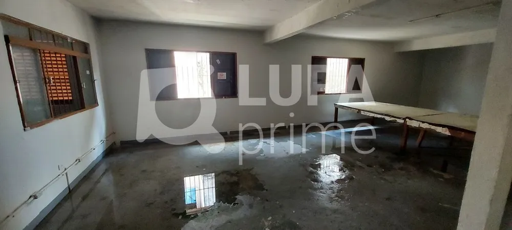 Casa, 4 quartos, 375 m² - Foto 7