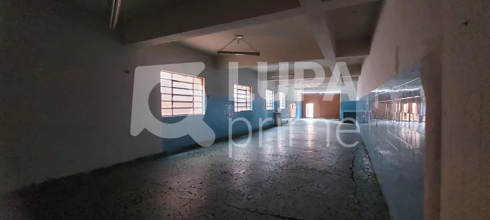 Casa, 4 quartos, 375 m² - Foto 6