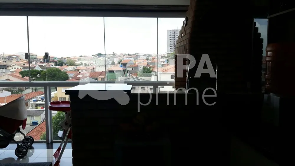 Casa, 3 quartos, 900 m² - Foto 10