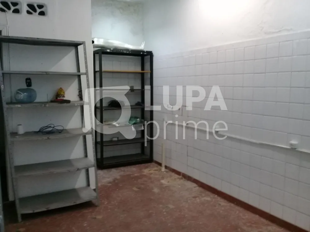 Casa, 3 quartos, 380 m² - Foto 12