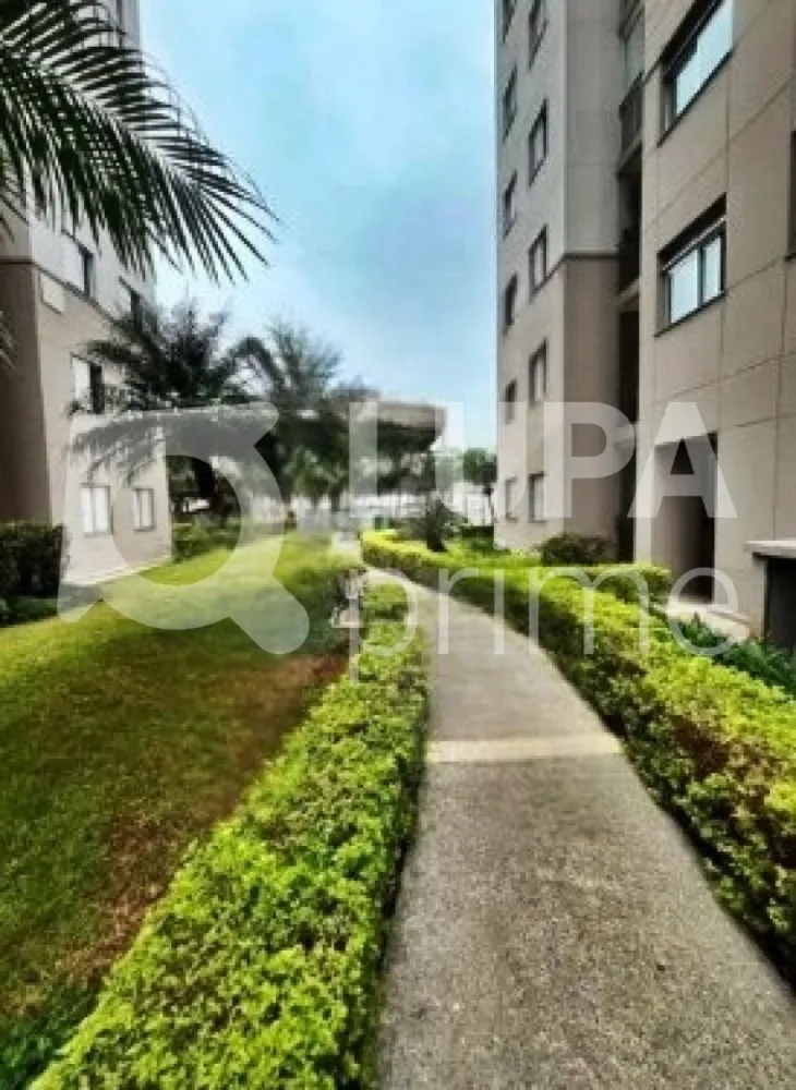 Apartamento, 2 quartos, 50 m² - Foto 12