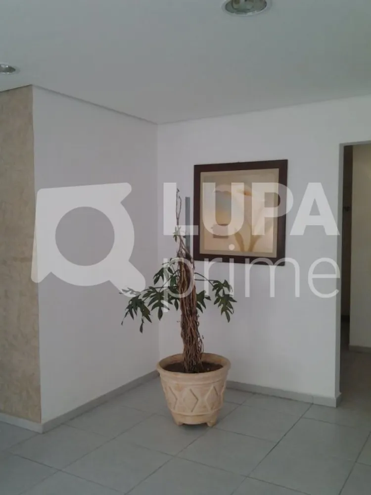 Apartamento, 3 quartos, 74 m² - Foto 14