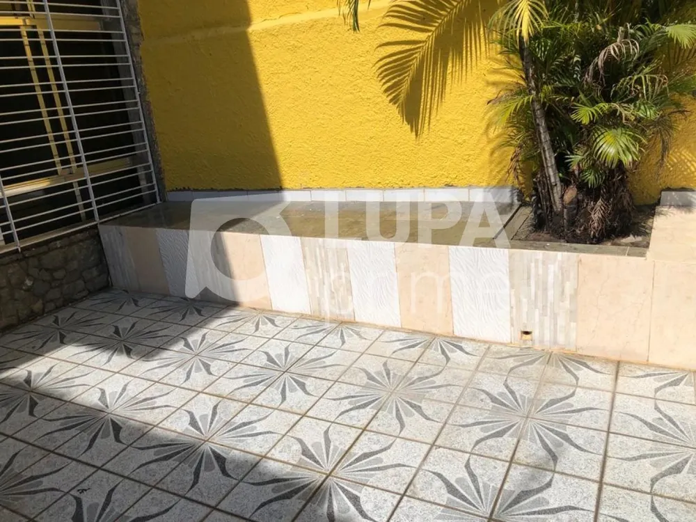 Casa, 4 quartos, 180 m² - Foto 12