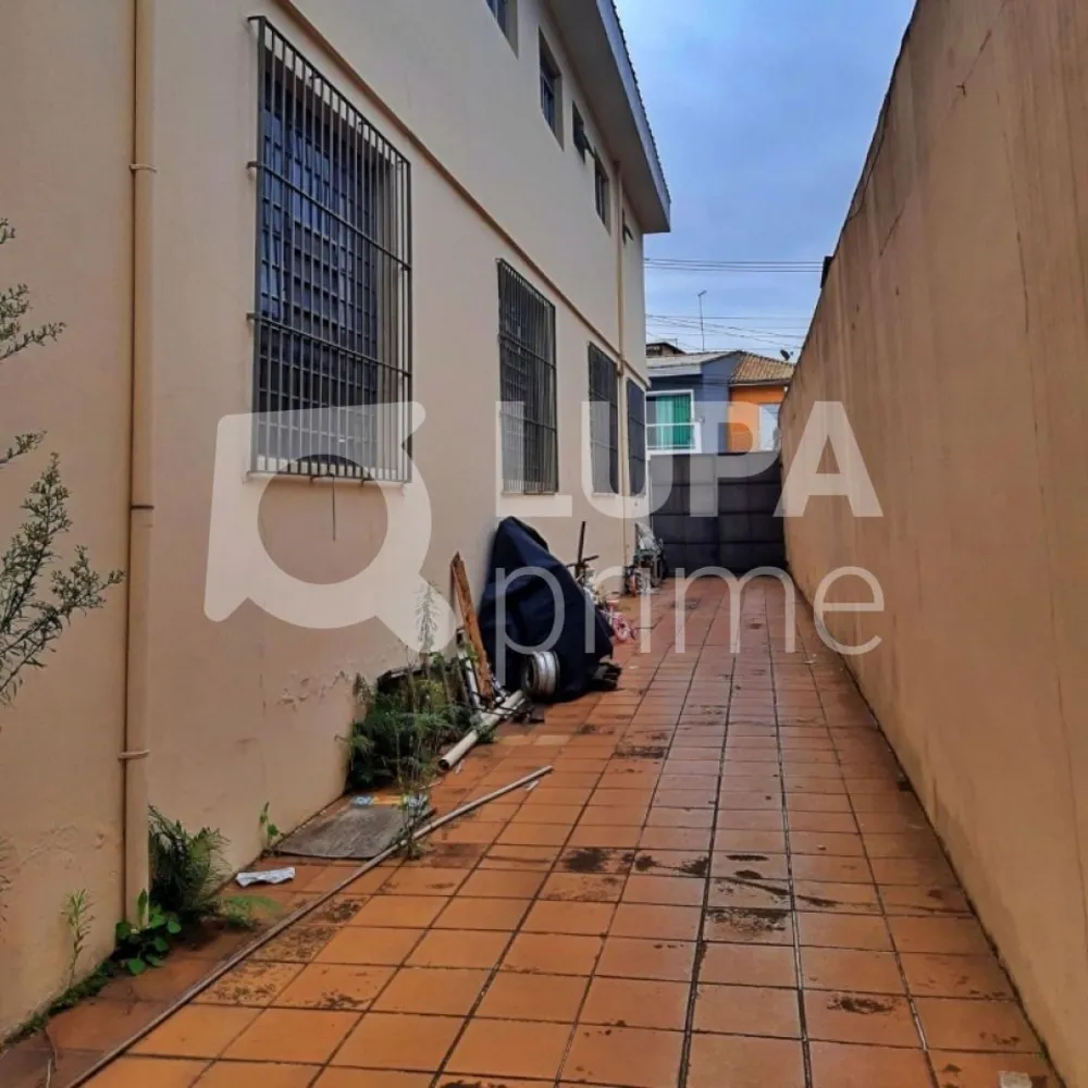 Casa, 1 quarto, 500 m² - Foto 3