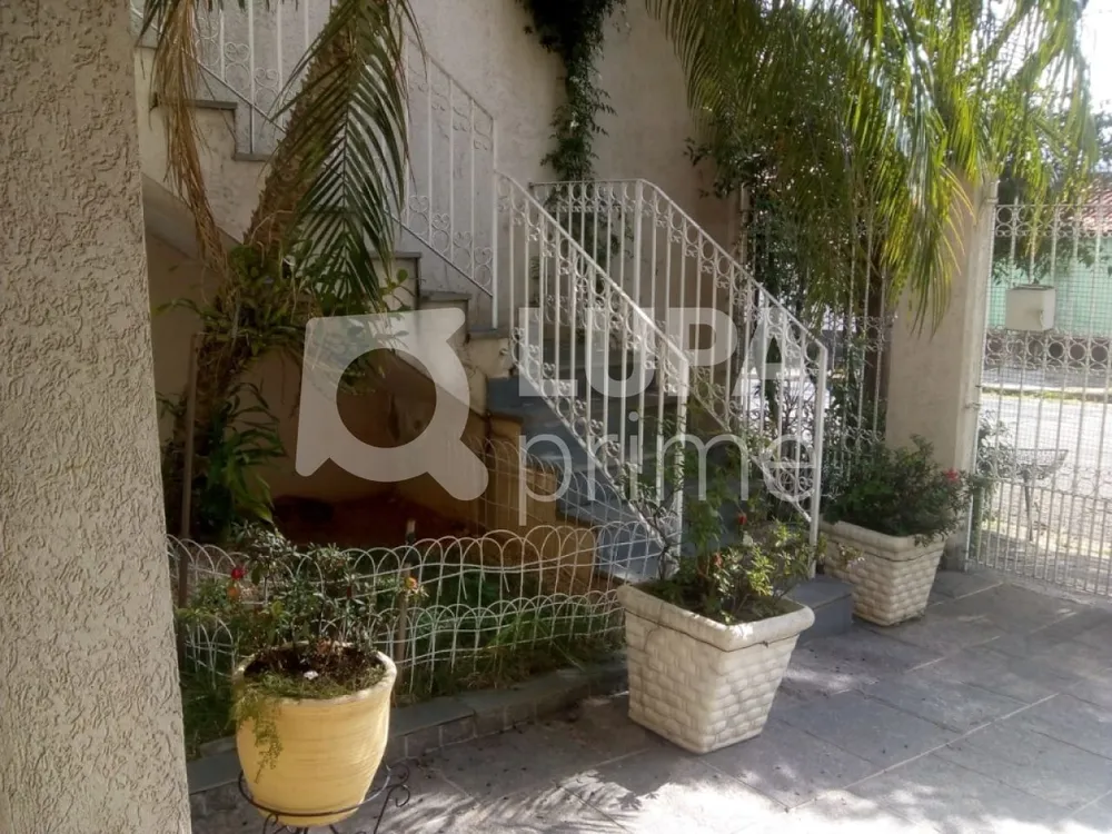 Casa, 4 quartos, 250 m² - Foto 10