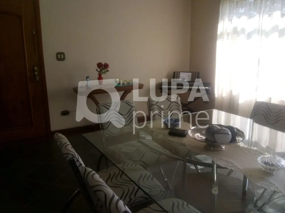 Casa, 4 quartos, 250 m² - Foto 6