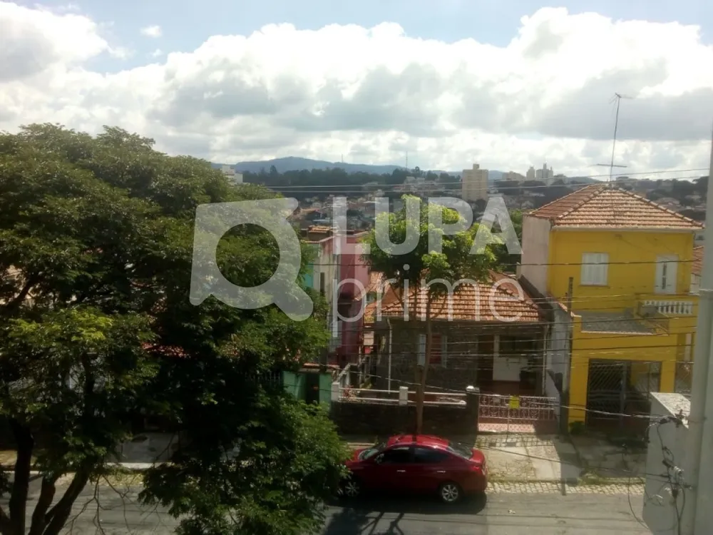 Casa, 4 quartos, 250 m² - Foto 11