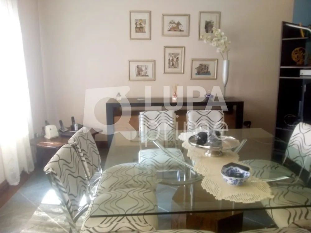 Casa, 4 quartos, 250 m² - Foto 3