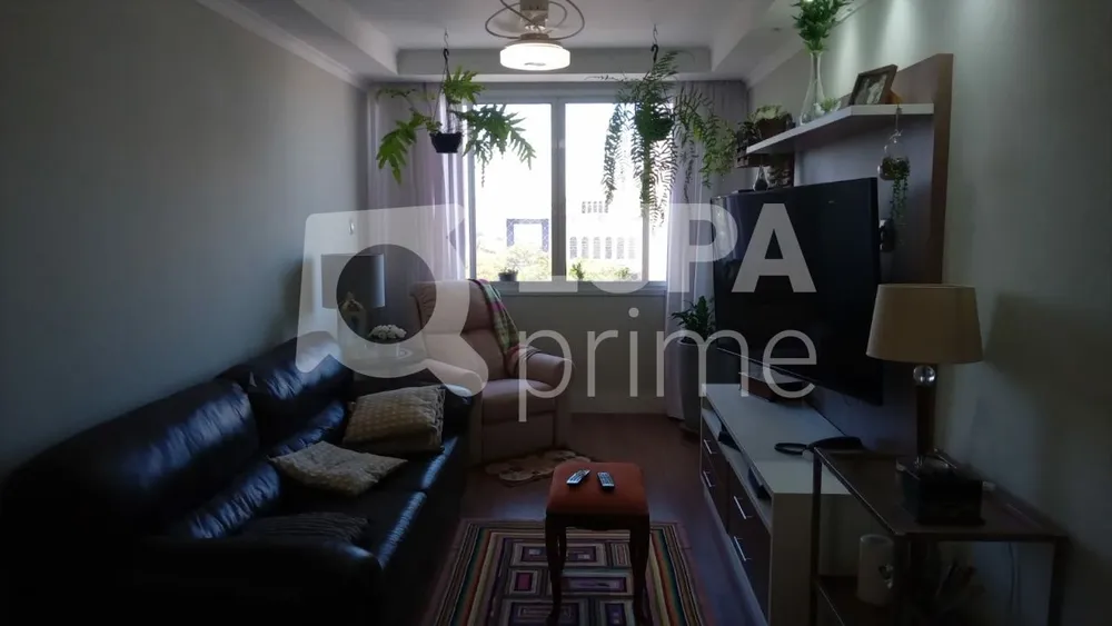 Apartamento, 3 quartos, 80 m² - Foto 10
