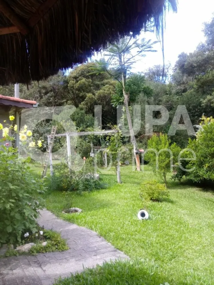 Chácara, 5 quartos, 1 hectares - Foto 9