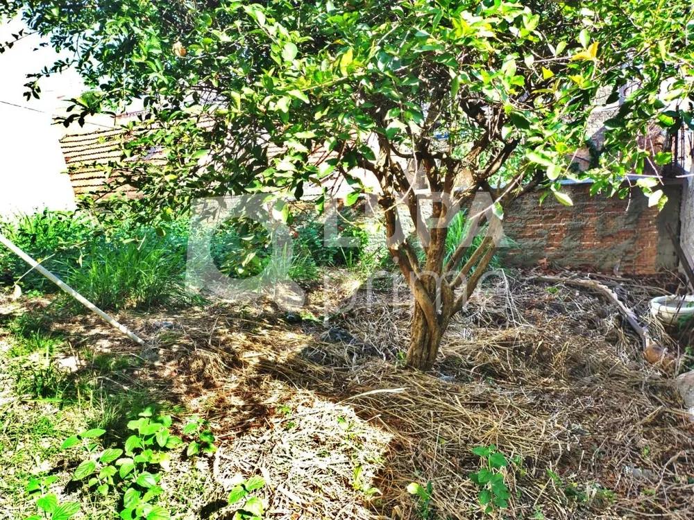 Terreno, 278 m² - Foto 6