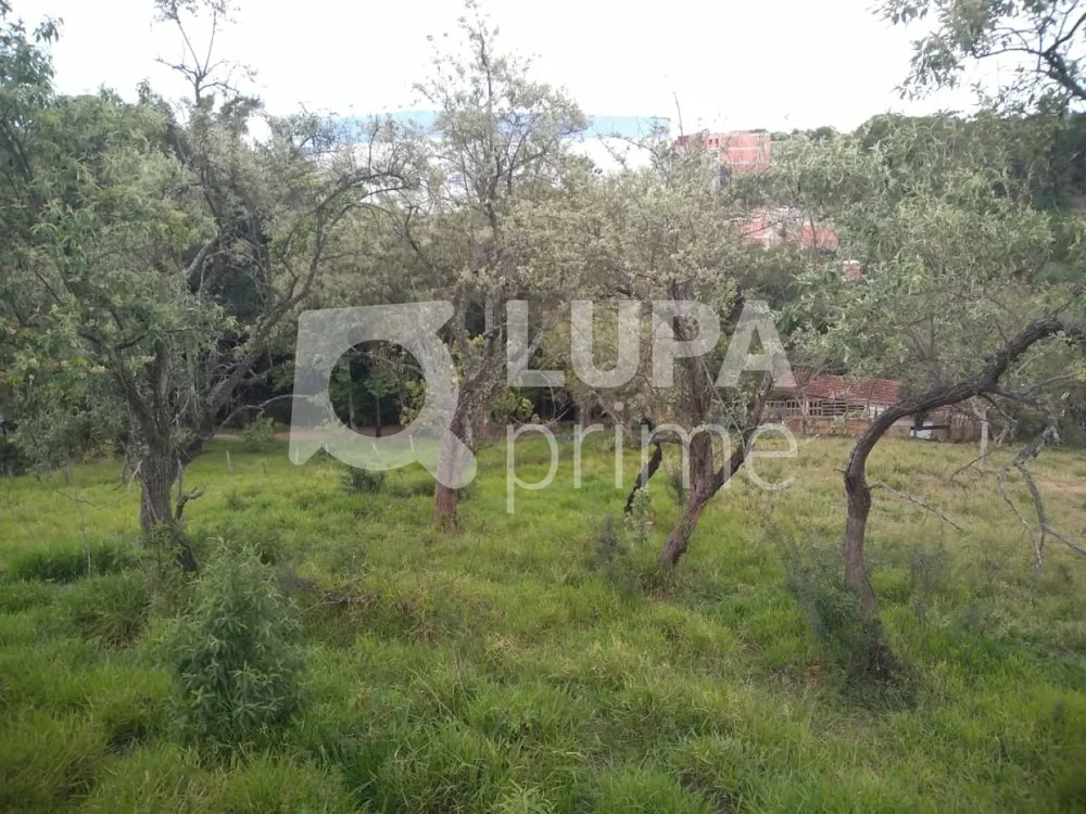 Terreno, 3 hectares - Foto 13