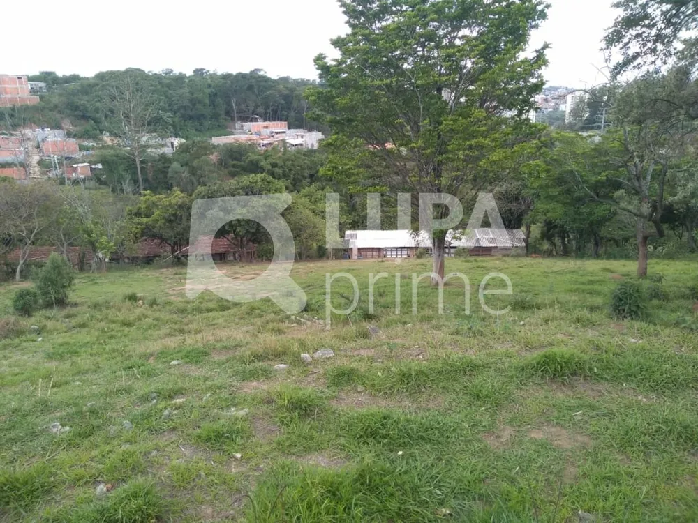 Terreno, 3 hectares - Foto 12
