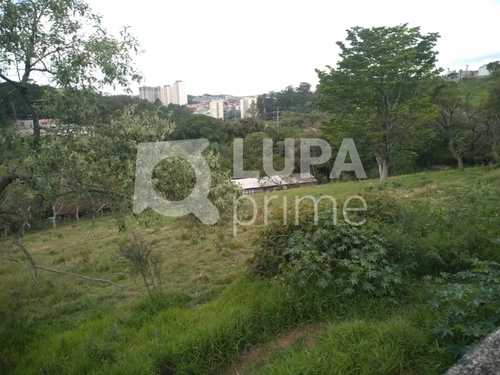 Terreno, 3 hectares - Foto 14