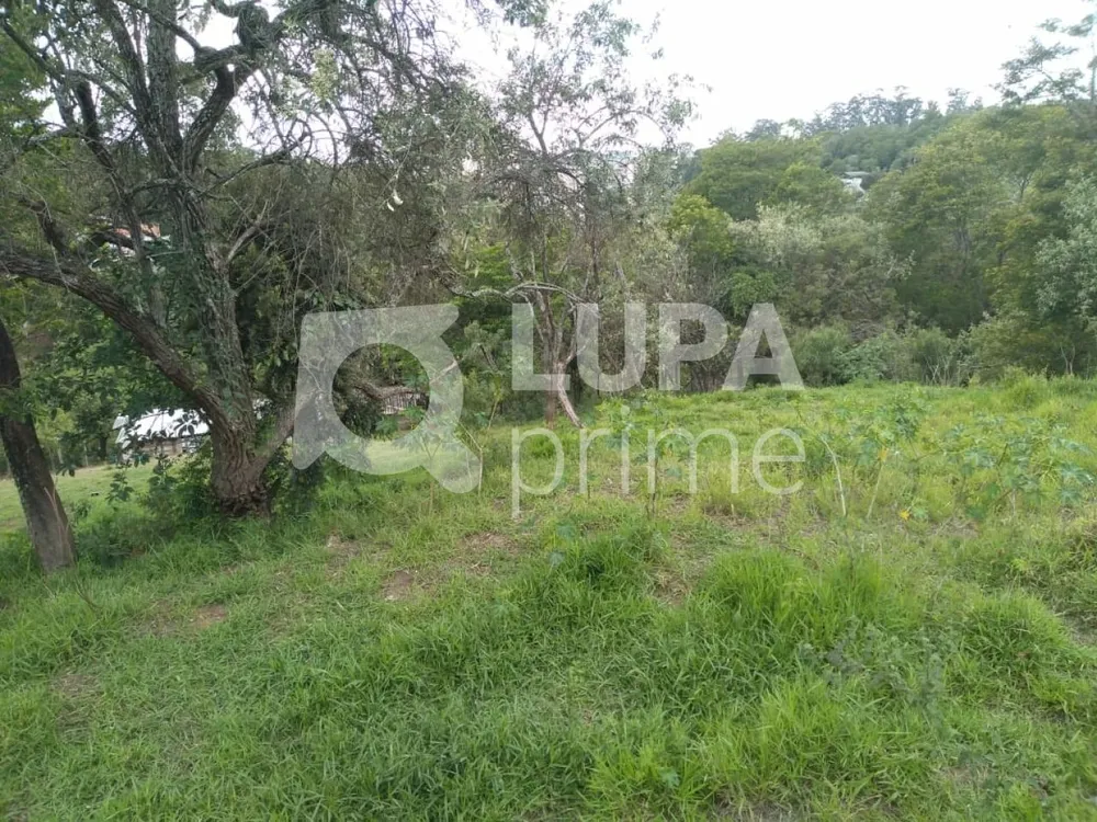 Terreno, 3 hectares - Foto 9