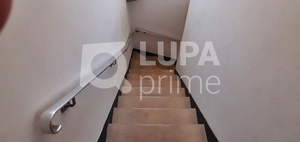 Casa, 3 quartos, 420 m² - Foto 6
