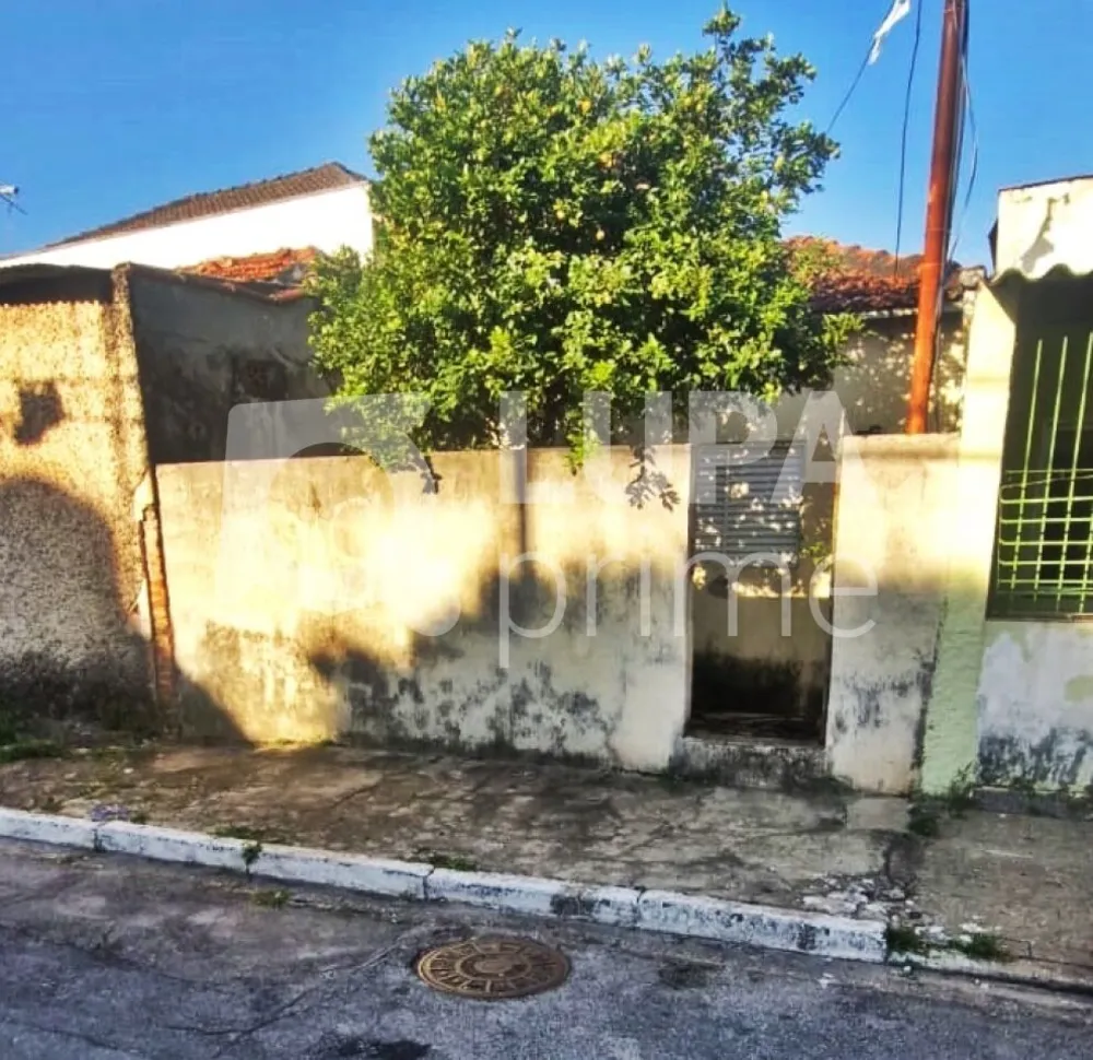 Casa, 1 quarto, 60 m² - Foto 5