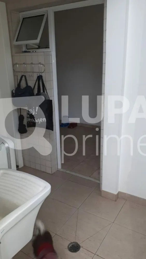 Casa, 4 quartos, 300 m² - Foto 12