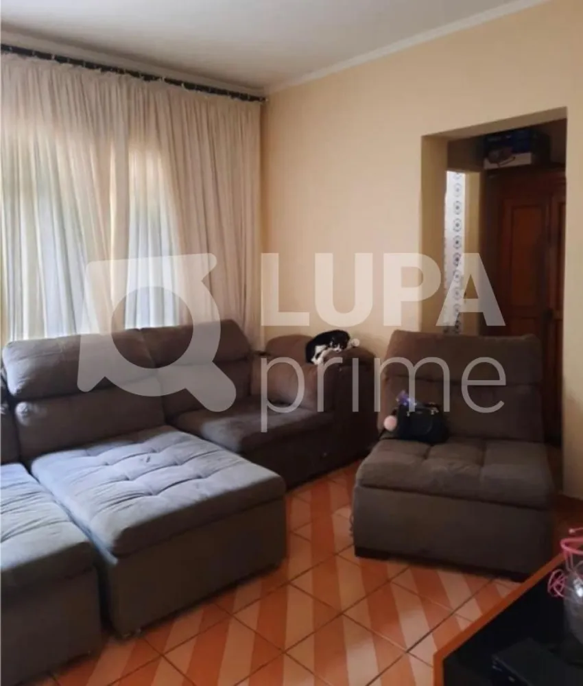 Casa, 3 quartos, 300 m² - Foto 11