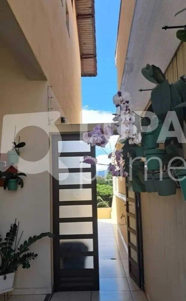 Casa, 3 quartos, 380 m² - Foto 6