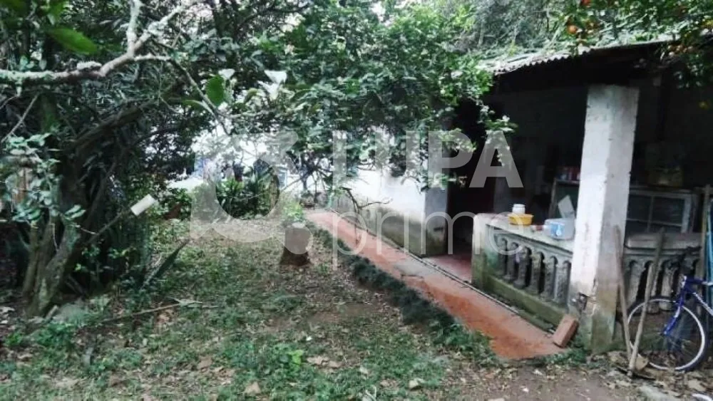 Casa, 3 quartos, 280 m² - Foto 3