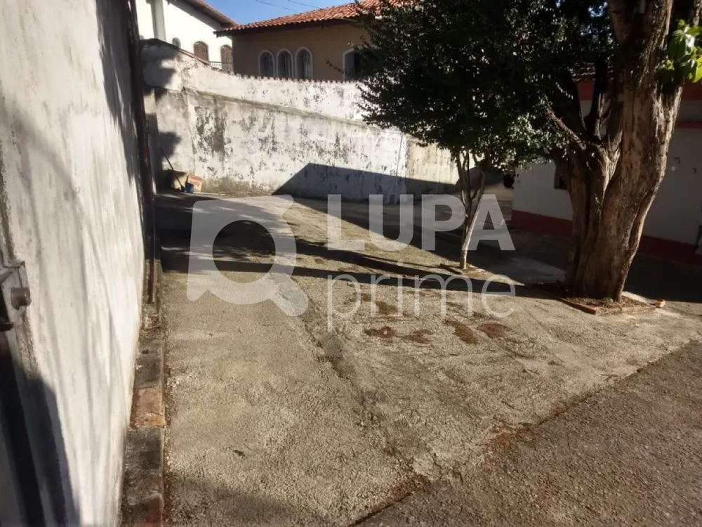 Casa, 4 quartos, 260 m² - Foto 9