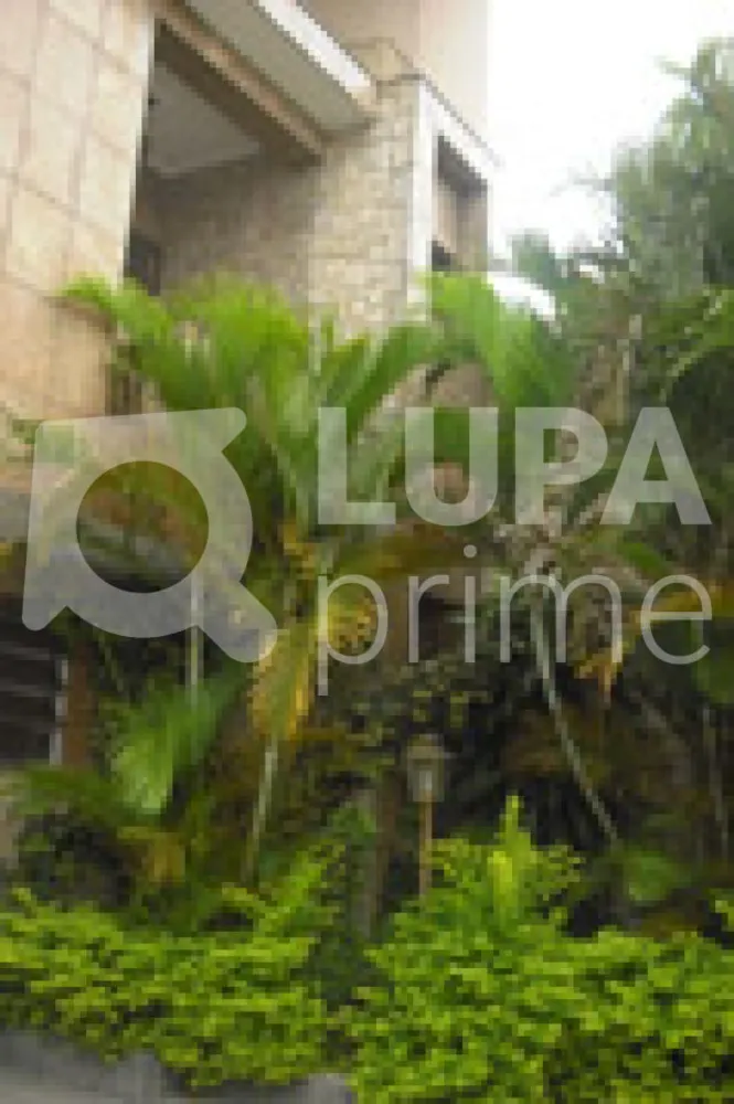 Casa, 3 quartos, 500 m² - Foto 12