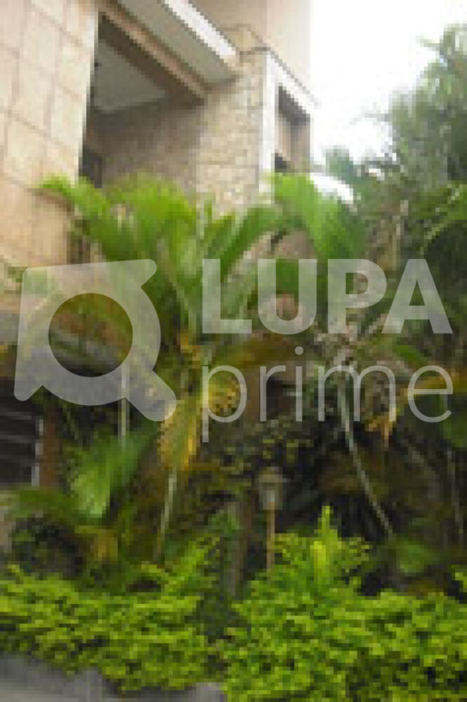 Casa, 3 quartos, 500 m² - Foto 4