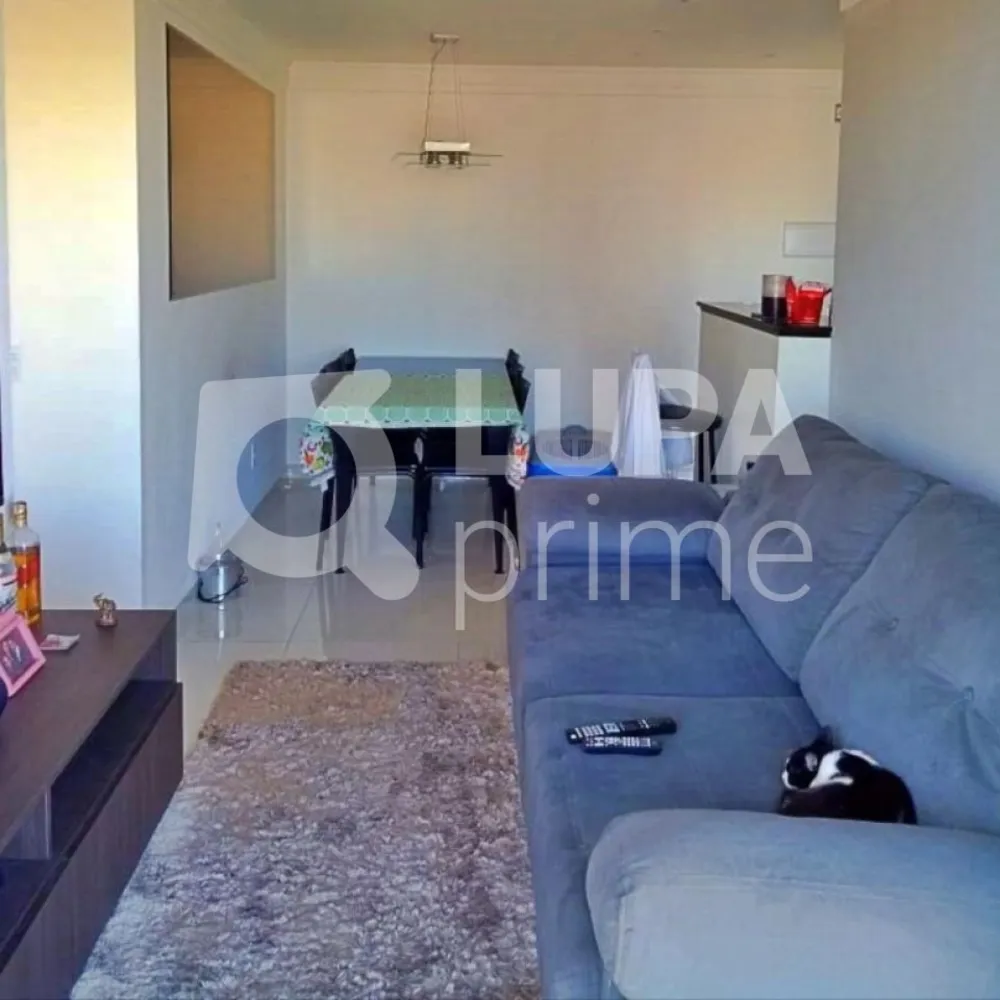 Apartamento, 3 quartos, 65 m² - Foto 9