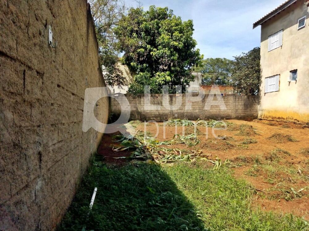 Casa, 5 quartos, 260 m² - Foto 9