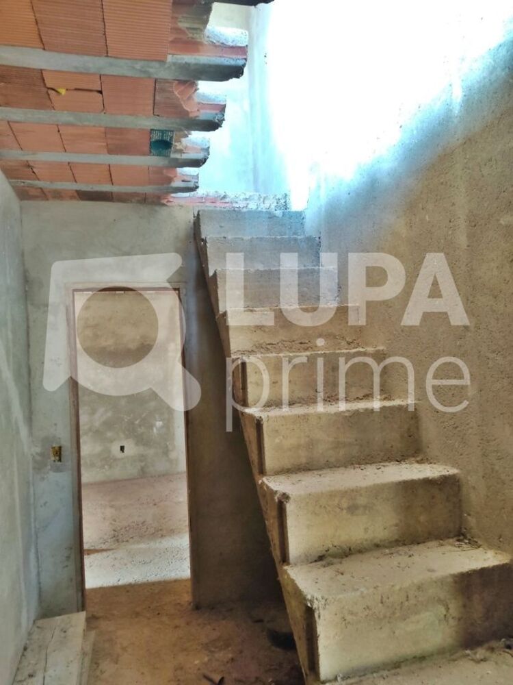 Casa, 5 quartos, 260 m² - Foto 7