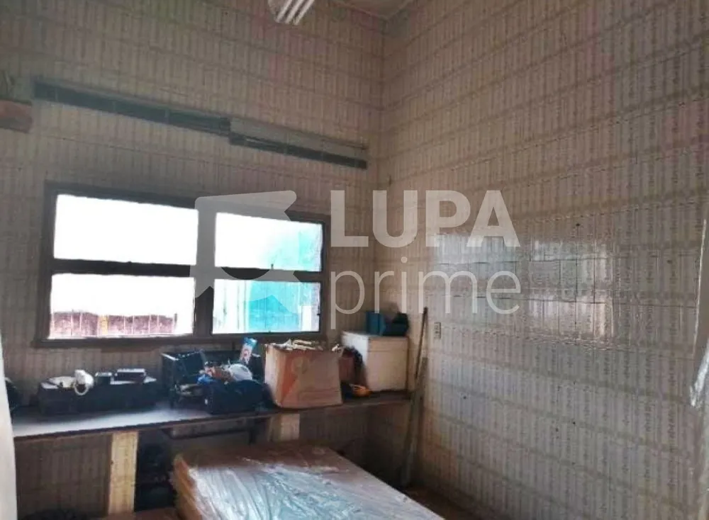 Casa, 3 quartos, 447 m² - Foto 11