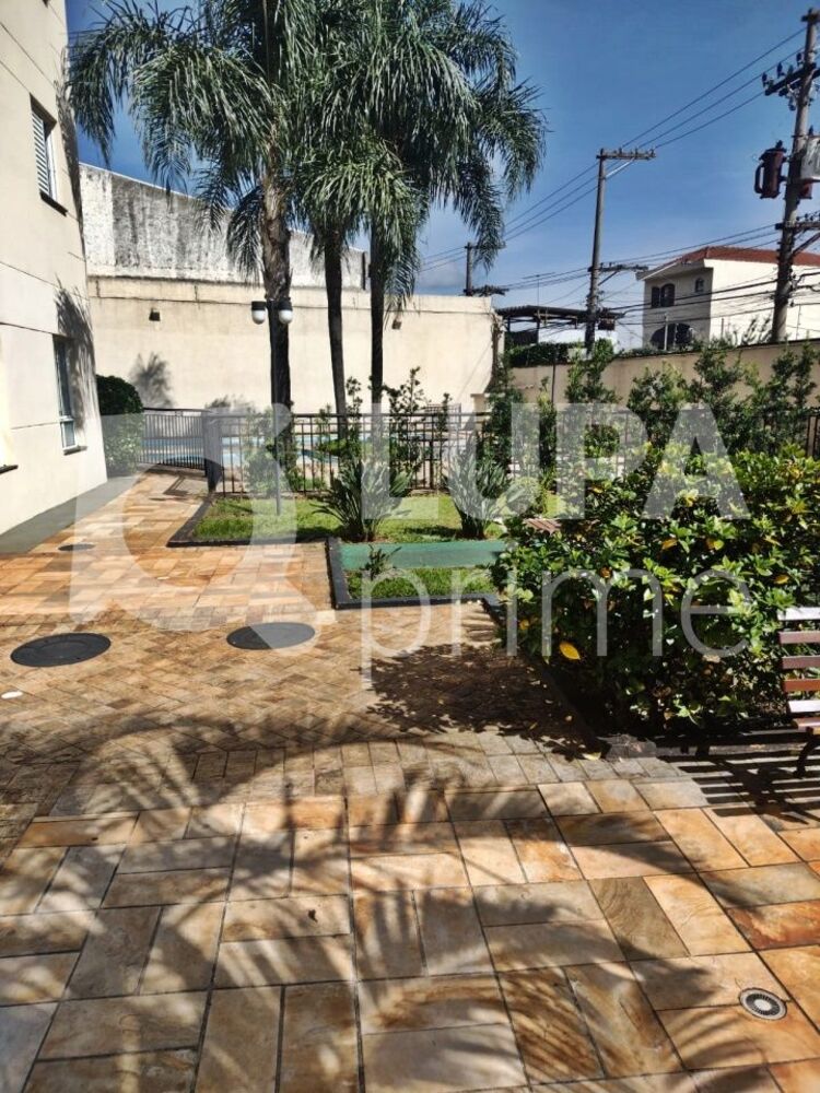 Apartamento, 3 quartos, 65 m² - Foto 2