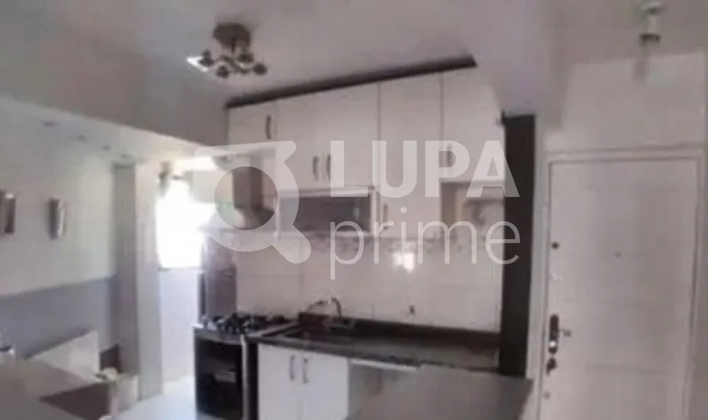 Apartamento, 3 quartos, 150 m² - Foto 15