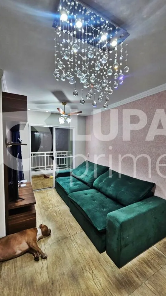 Apartamento, 3 quartos, 63 m² - Foto 1