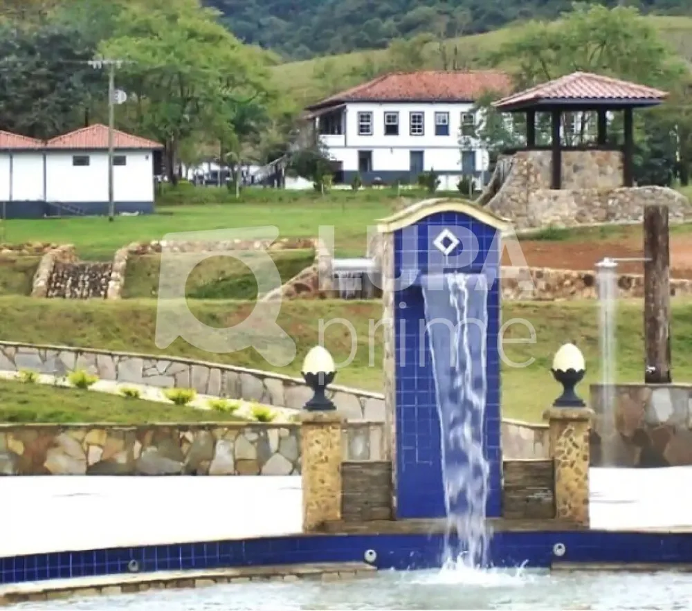 Fazenda, 133 hectares - Foto 11