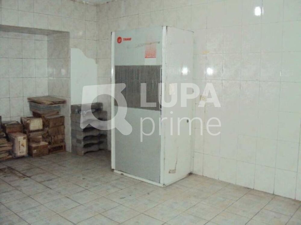 Casa, 5 quartos, 292 m² - Foto 1