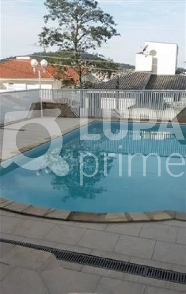 Casa, 4 quartos, 550 m² - Foto 7