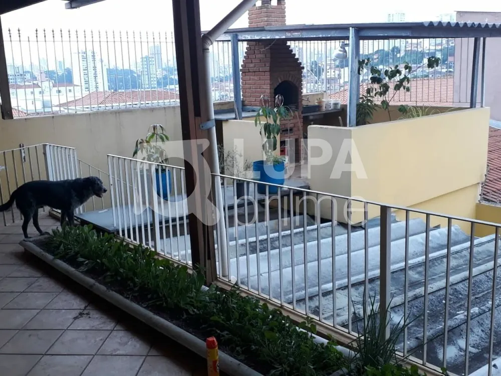 Casa, 4 quartos, 191 m² - Foto 12