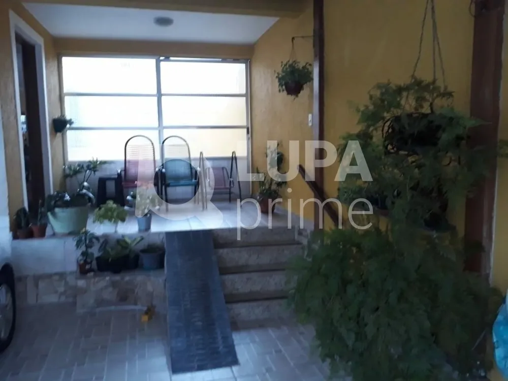 Casa, 4 quartos, 191 m² - Foto 4