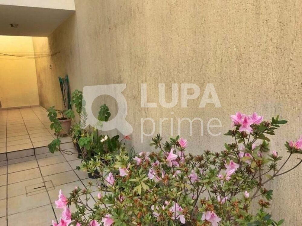 Casa, 3 quartos, 90 m² - Foto 10