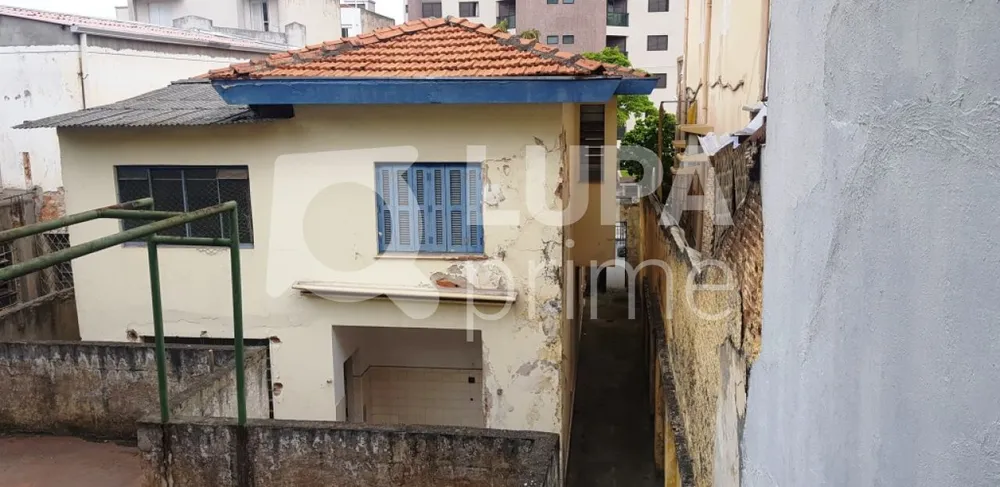 Casa, 3 quartos, 450 m² - Foto 4