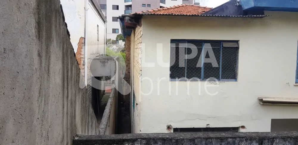 Casa, 3 quartos, 450 m² - Foto 5