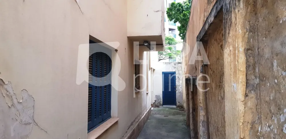 Casa, 3 quartos, 450 m² - Foto 12