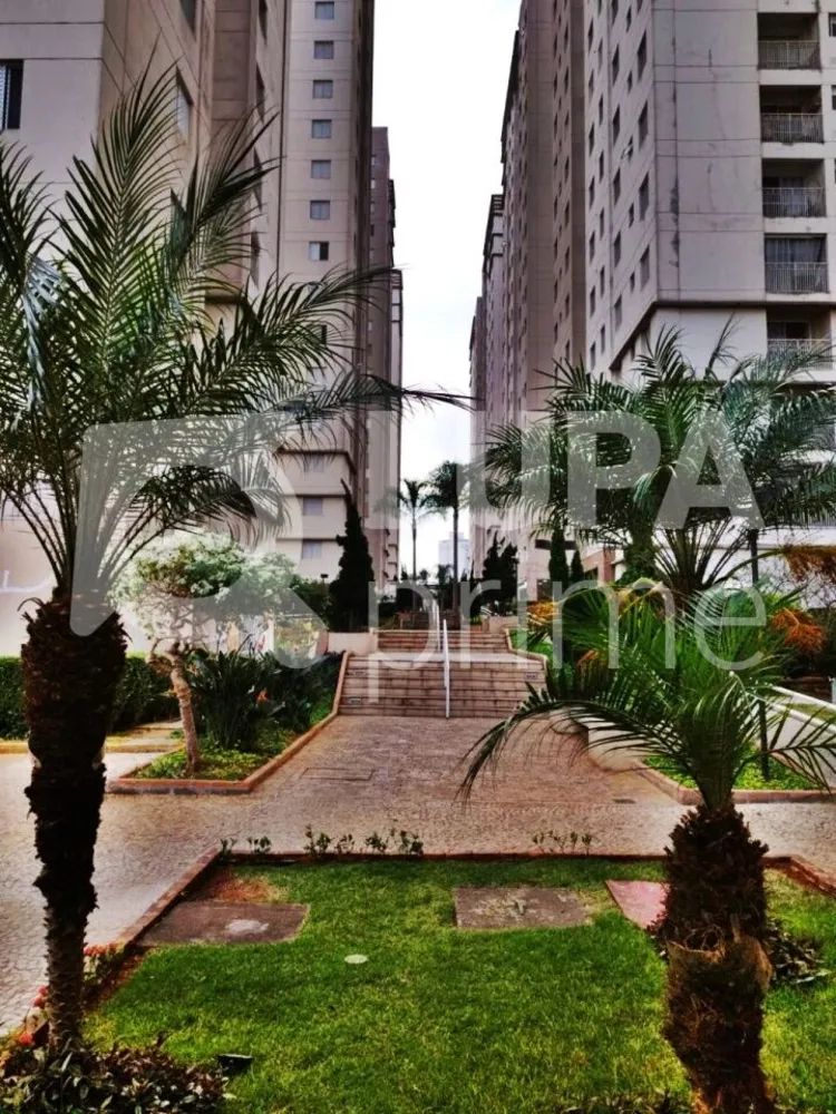Apartamento, 3 quartos, 64 m² - Foto 5