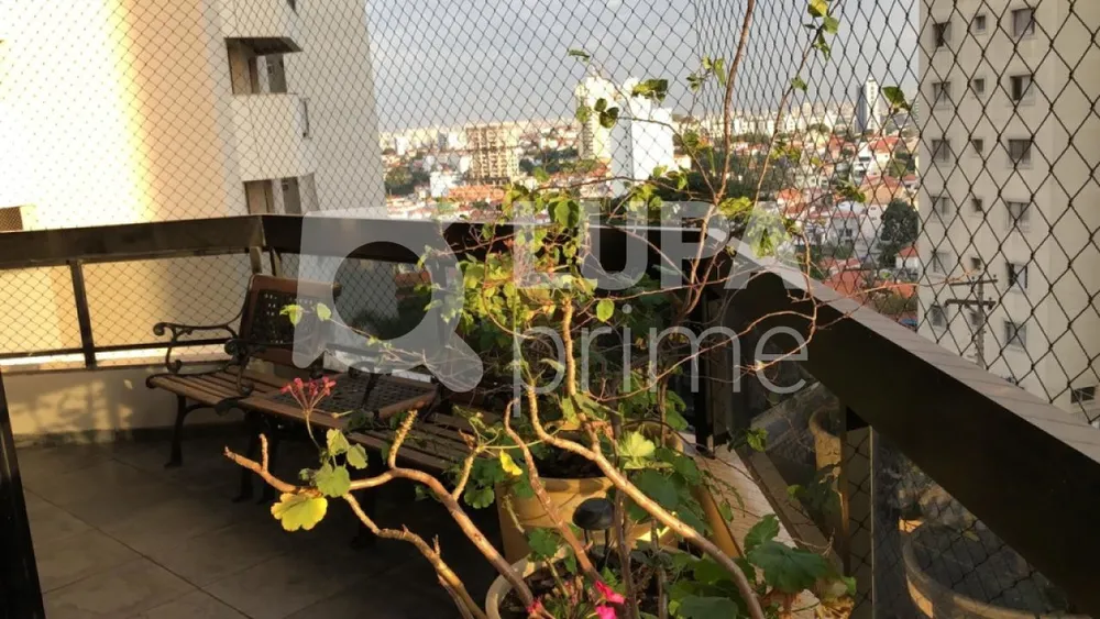 Apartamento, 4 quartos, 220 m² - Foto 16